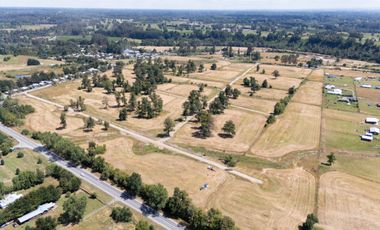 SE VENDEN PARCELAS EN OSORNO, SECTOR PICHIL