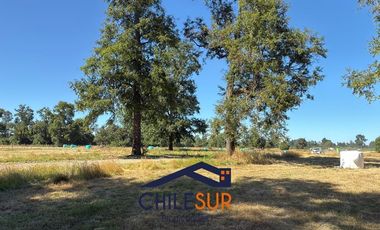 SE VENDEN PARCELAS EN OSORNO, SECTOR PICHIL