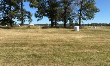 SE VENDEN PARCELAS EN OSORNO, SECTOR PICHIL