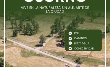 SE VENDEN PARCELAS EN OSORNO, SECTOR PICHIL