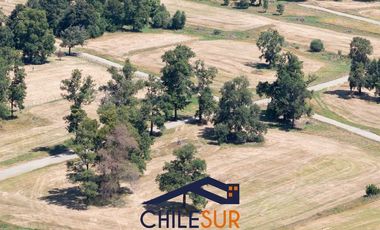 SE VENDEN PARCELAS EN OSORNO, SECTOR PICHIL