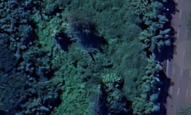 Tanah disewakan di RW 02, Putat Gede, Sukomanunggal, Surabaya, Jawa Timur