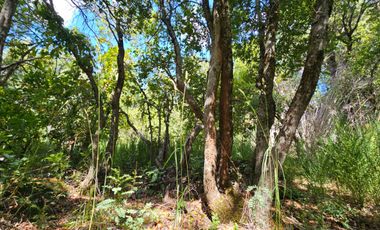 SE VENDE TERRENO DE 998 MT2 LOS LLEUQUES REGIÓN DE ÑUBLE