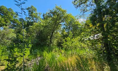 SE VENDE TERRENO DE 998 MT2 LOS LLEUQUES REGIÓN DE ÑUBLE