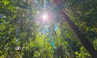 SE VENDE TERRENO DE 998 MT2 LOS LLEUQUES REGIÓN DE ÑUBLE