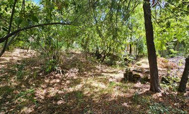 SE VENDE TERRENO DE 998 MT2 LOS LLEUQUES REGIÓN DE ÑUBLE