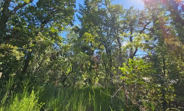 SE VENDE TERRENO DE 998 MT2 LOS LLEUQUES REGIÓN DE ÑUBLE