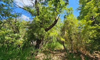 SE VENDE TERRENO DE 998 MT2 LOS LLEUQUES REGIÓN DE ÑUBLE