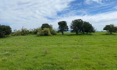 PARCELA CON BAJADA AL LAGO RAPEL, BONITA VISTA