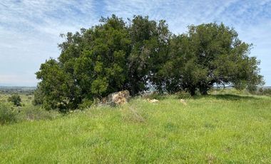 PARCELA CON BAJADA AL LAGO RAPEL, BONITA VISTA