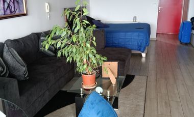 C. Barón, Estudio de gran espacio hermosa vista, 48 mts total