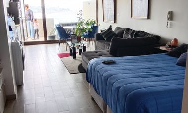 C. Barón, Estudio de gran espacio hermosa vista, 48 mts total