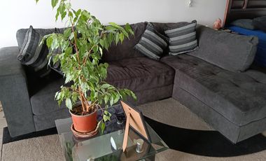 C. Barón, Estudio de gran espacio hermosa vista, 48 mts total