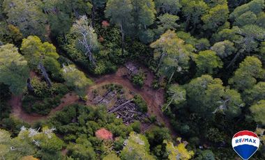 SE VENDE CAMPO PARA INVERSIÓN - HUIFE PUCON CHILE