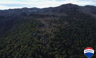 SE VENDE CAMPO PARA INVERSIÓN - HUIFE PUCON CHILE