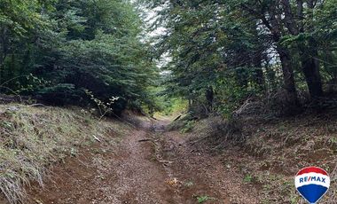 SE VENDE CAMPO PARA INVERSIÓN - HUIFE PUCON CHILE