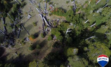 SE VENDE CAMPO PARA INVERSIÓN - HUIFE PUCON CHILE