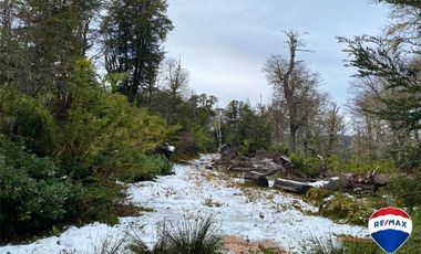 SE VENDE CAMPO PARA INVERSIÓN - HUIFE PUCON CHILE