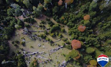 SE VENDE CAMPO PARA INVERSIÓN - HUIFE PUCON CHILE