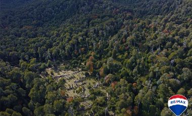 SE VENDE CAMPO PARA INVERSIÓN - HUIFE PUCON CHILE