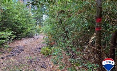 SE VENDE CAMPO PARA INVERSIÓN - HUIFE PUCON CHILE