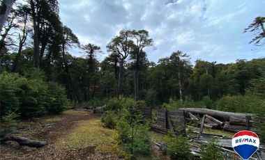SE VENDE CAMPO PARA INVERSIÓN - HUIFE PUCON CHILE