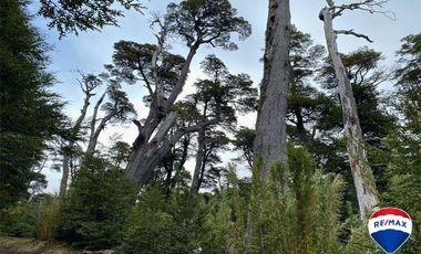 SE VENDE CAMPO PARA INVERSIÓN - HUIFE PUCON CHILE