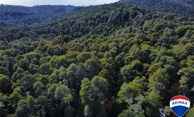 SE VENDE CAMPO PARA INVERSIÓN - HUIFE PUCON CHILE