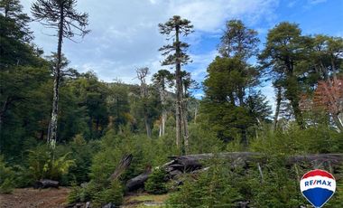 SE VENDE CAMPO PARA INVERSIÓN - HUIFE PUCON CHILE