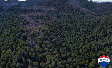 SE VENDE CAMPO PARA INVERSIÓN - HUIFE PUCON CHILE