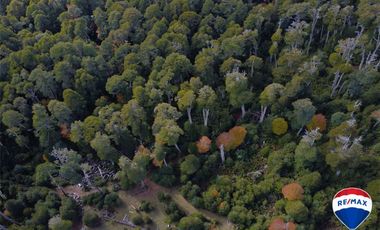 SE VENDE CAMPO PARA INVERSIÓN - HUIFE PUCON CHILE