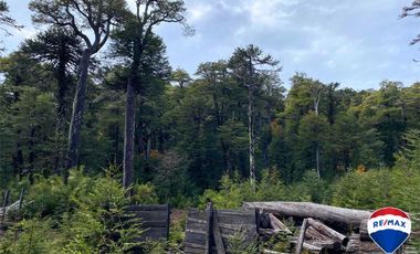 SE VENDE CAMPO PARA INVERSIÓN - HUIFE PUCON CHILE