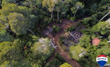 SE VENDE CAMPO PARA INVERSIÓN - HUIFE PUCON CHILE