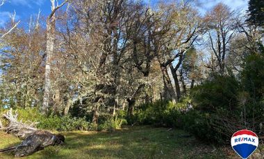 SE VENDE CAMPO PARA INVERSIÓN - HUIFE PUCON CHILE