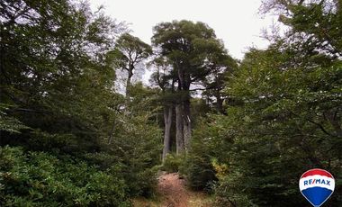 SE VENDE CAMPO PARA INVERSIÓN - HUIFE PUCON CHILE