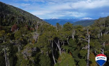 SE VENDE CAMPO PARA INVERSIÓN - HUIFE PUCON CHILE