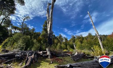 SE VENDE CAMPO PARA INVERSIÓN - HUIFE PUCON CHILE