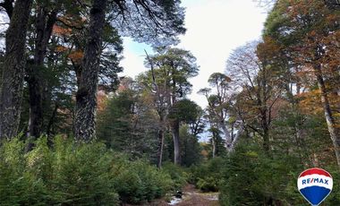 SE VENDE CAMPO PARA INVERSIÓN - HUIFE PUCON CHILE