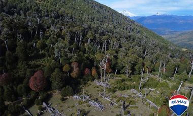 SE VENDE CAMPO PARA INVERSIÓN - HUIFE PUCON CHILE