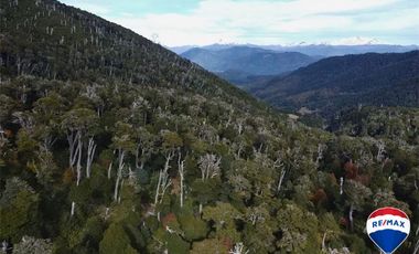 SE VENDE CAMPO PARA INVERSIÓN - HUIFE PUCON CHILE