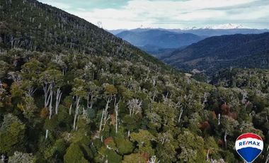 SE VENDE CAMPO PARA INVERSIÓN - HUIFE PUCON CHILE