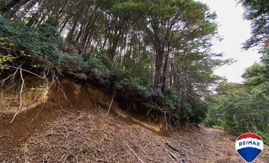 SE VENDE CAMPO PARA INVERSIÓN - HUIFE PUCON CHILE