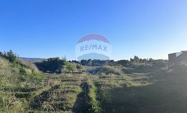 Terreno  1/2 h. Arauco - Cruze carampangue