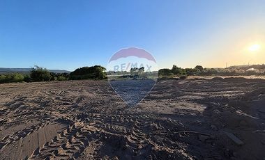 Terreno  1/2 h. Arauco - Cruze carampangue