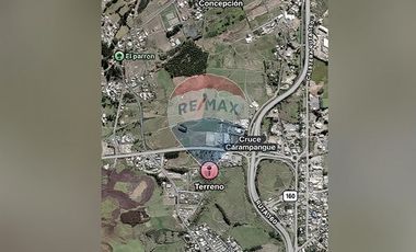 Terreno  1/2 h. Arauco - Cruze carampangue