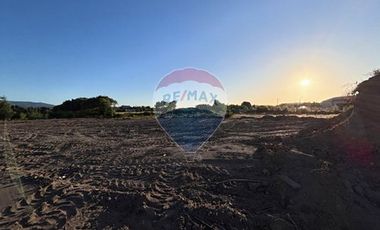 Terreno  1/2 h. Arauco - Cruze carampangue