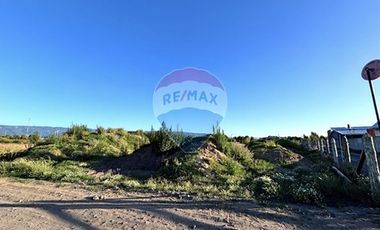 Terreno  1/2 h. Arauco - Cruze carampangue