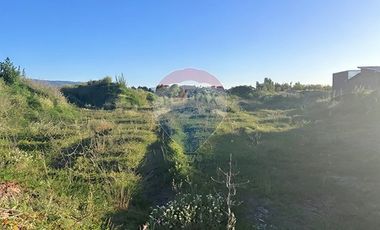 Terreno  1/2 h. Arauco - Cruze carampangue