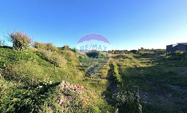 Terreno  1/2 h. Arauco - Cruze carampangue