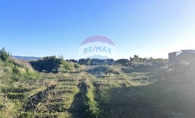 Terreno  1/2 h. Arauco - Cruze carampangue